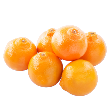 Minneola